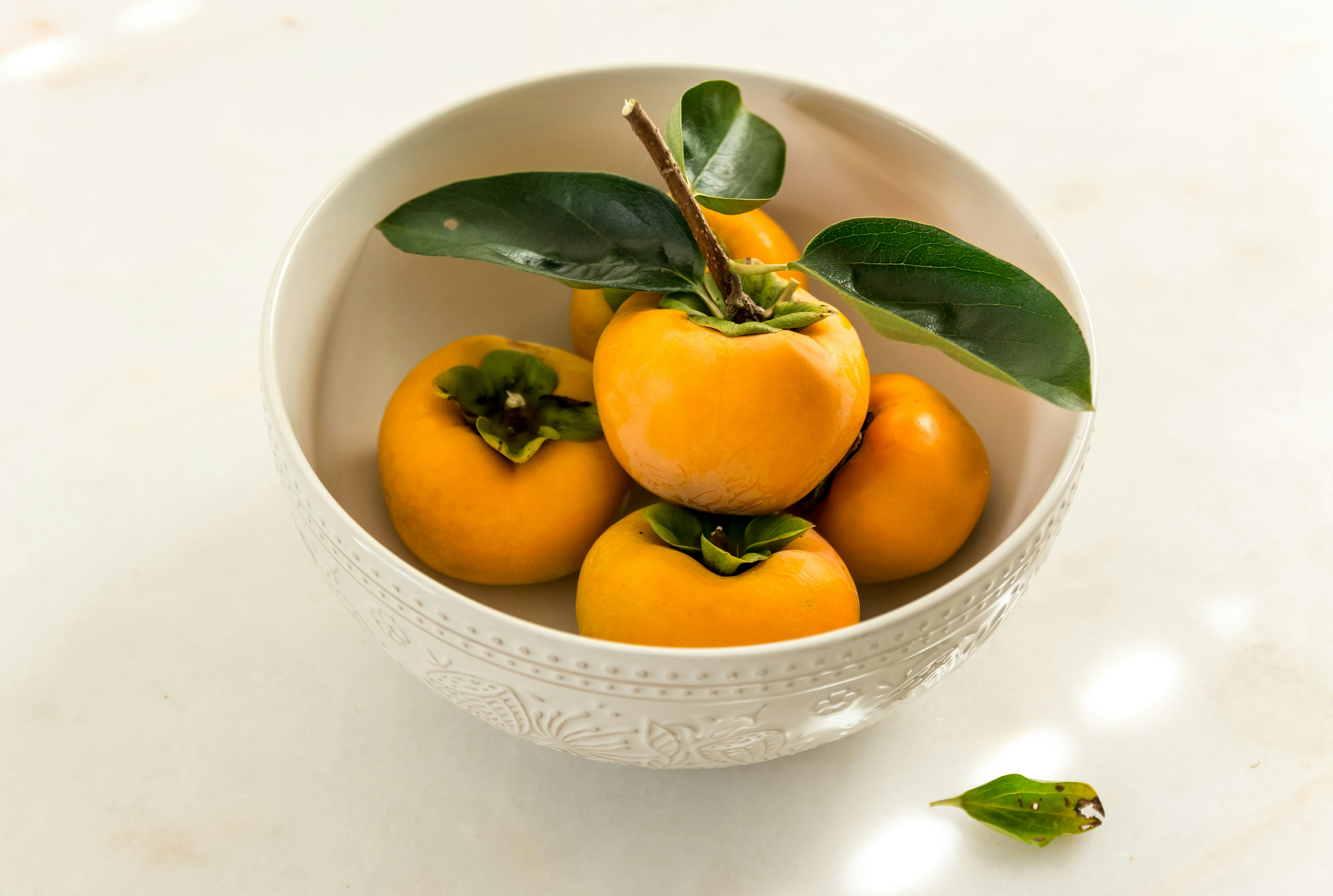 Hachiya persimmon fruit, deep orange and acorn-shaped, hanging on bare winter branch