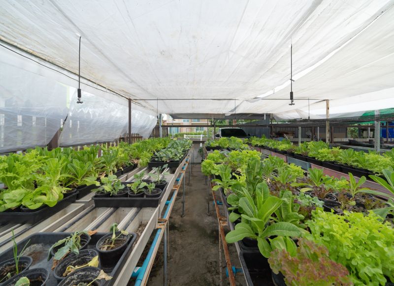 greenhouse gardening tips