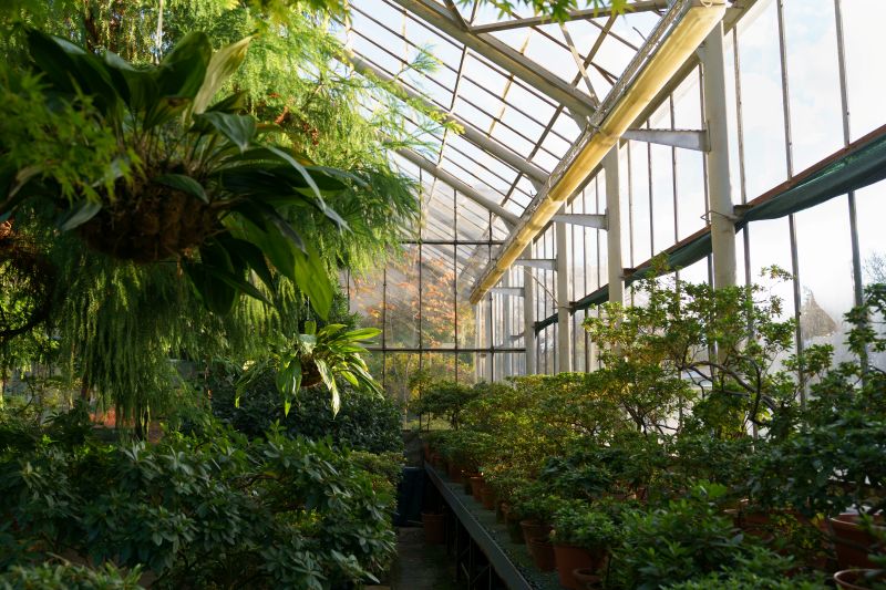 greenhouse gardening tips